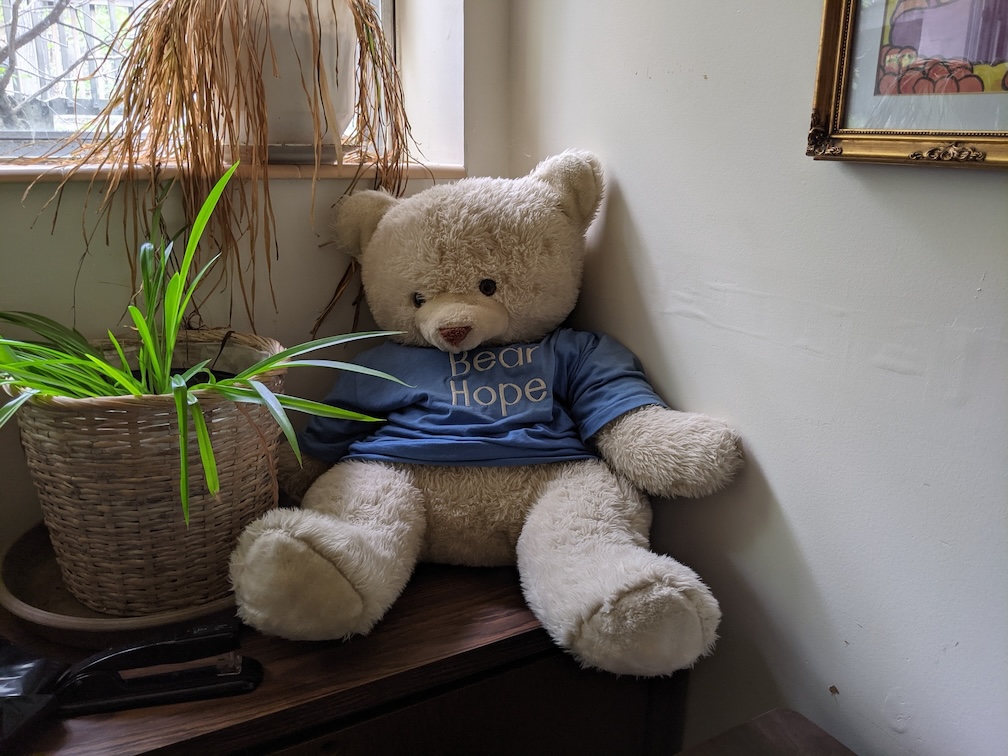 Bear Wearing a Shirt Saying 'bear hope' | Online Therapy for Toxic Family Relations and More